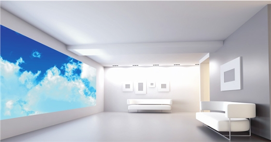 xy-300特级哑光环保内墙乳胶漆